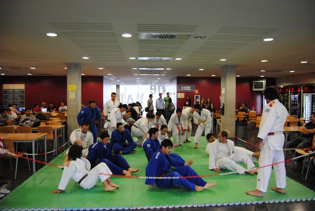 judo_2011