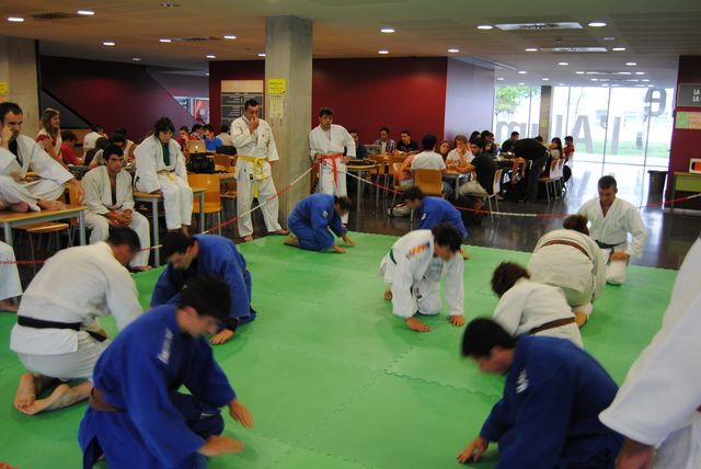 judo_2011_07