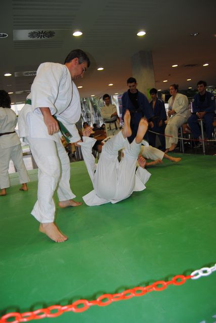 judo_2011_21