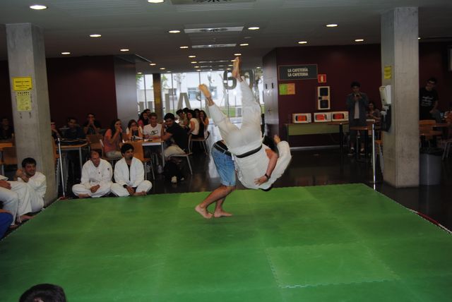 judo_2011_41