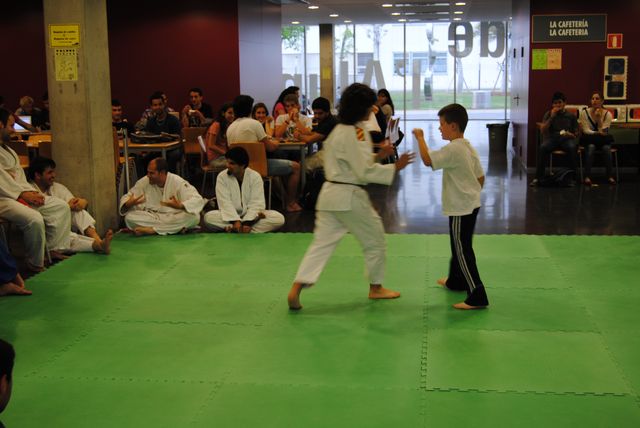 judo_2011_48