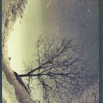 Patricia Lucas Ortega - Reflejos