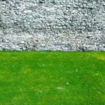 Camilo Tomás Cardona, por 'Dos tonos'