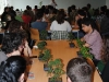bonsai_16