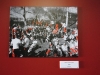 expo_opi_17