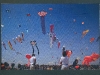 16a_david-segura-martinez-001